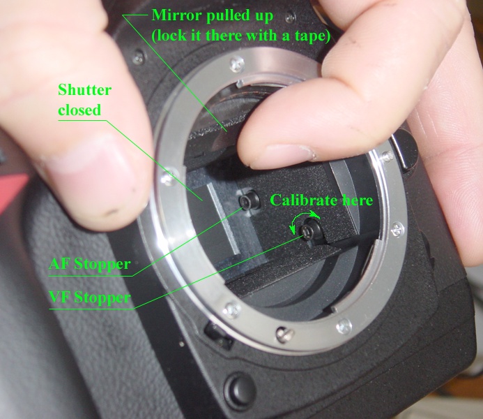 Nikon D70 Mirror Stoppers